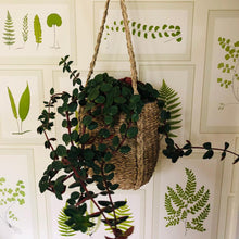 Load image into Gallery viewer, Seagrass Hanging Planter-ad&amp;i