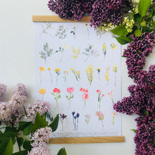 Load image into Gallery viewer, British Wild Flower A3 Digital Print by Abby Cook - ad&amp;i