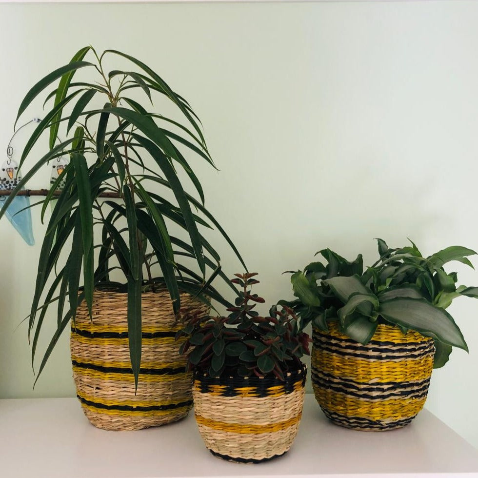 Small Coloured Seagrass Planters Set of Three-ad&i