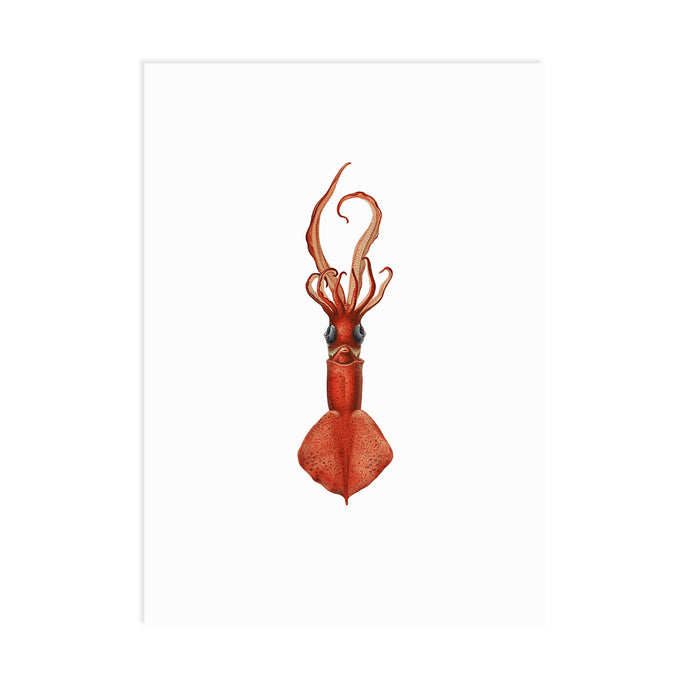 Be Yourself Squid A6 Postcard - ad&i