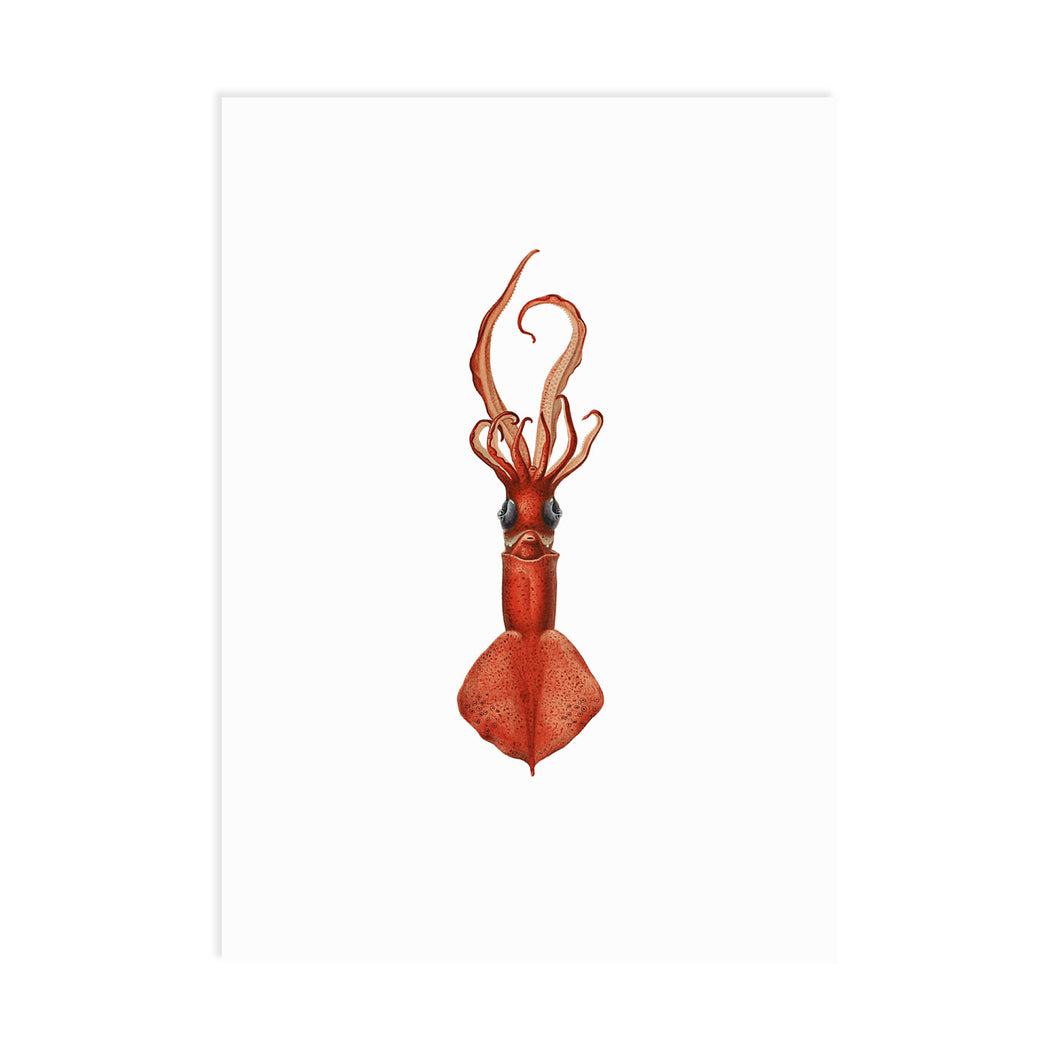 Be Yourself Squid A6 Postcard - ad&i