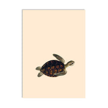 Load image into Gallery viewer, Come Together Turtle A6 Postcard - ad&amp;i