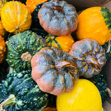 Load image into Gallery viewer, Ceramic Pumpkin - ad&amp;i