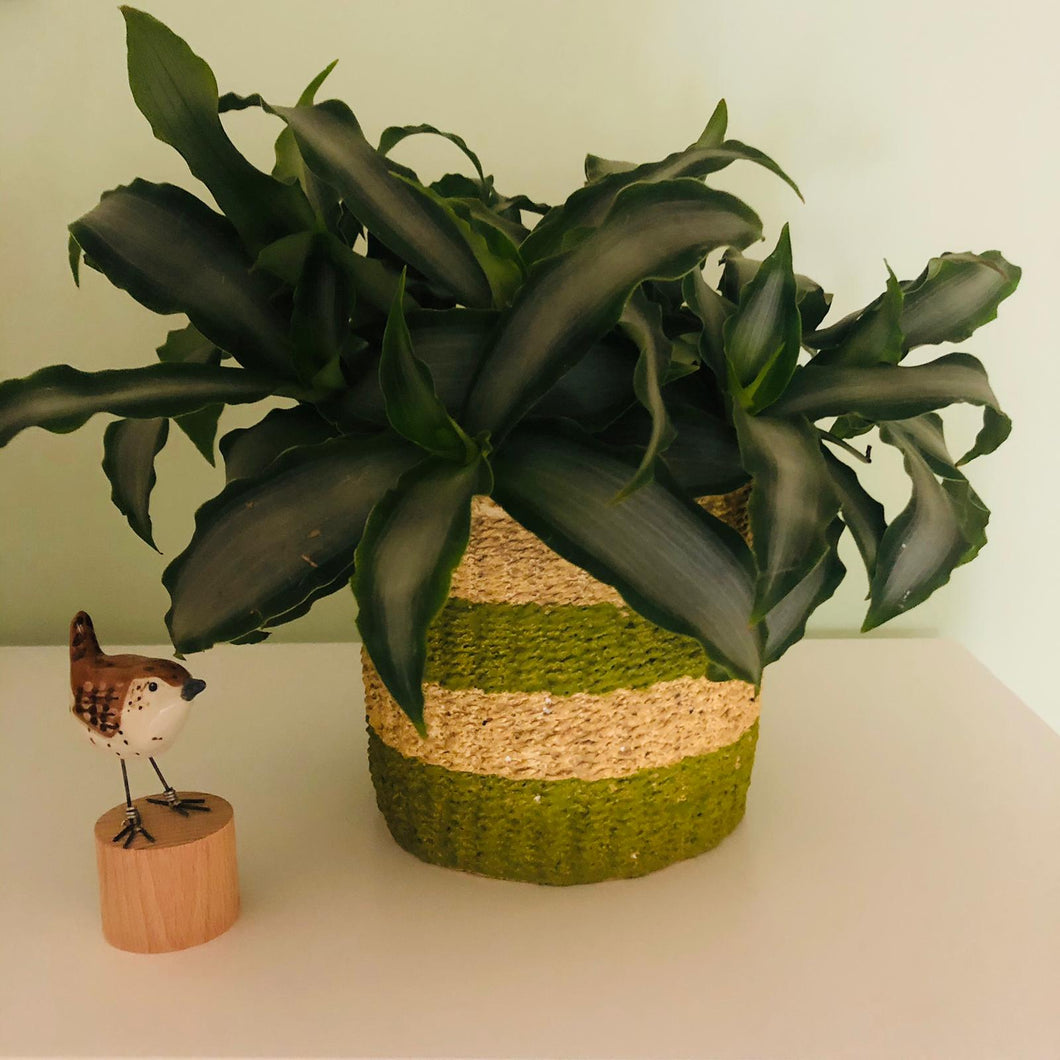 Green Stripe Cement Planter-ad&i