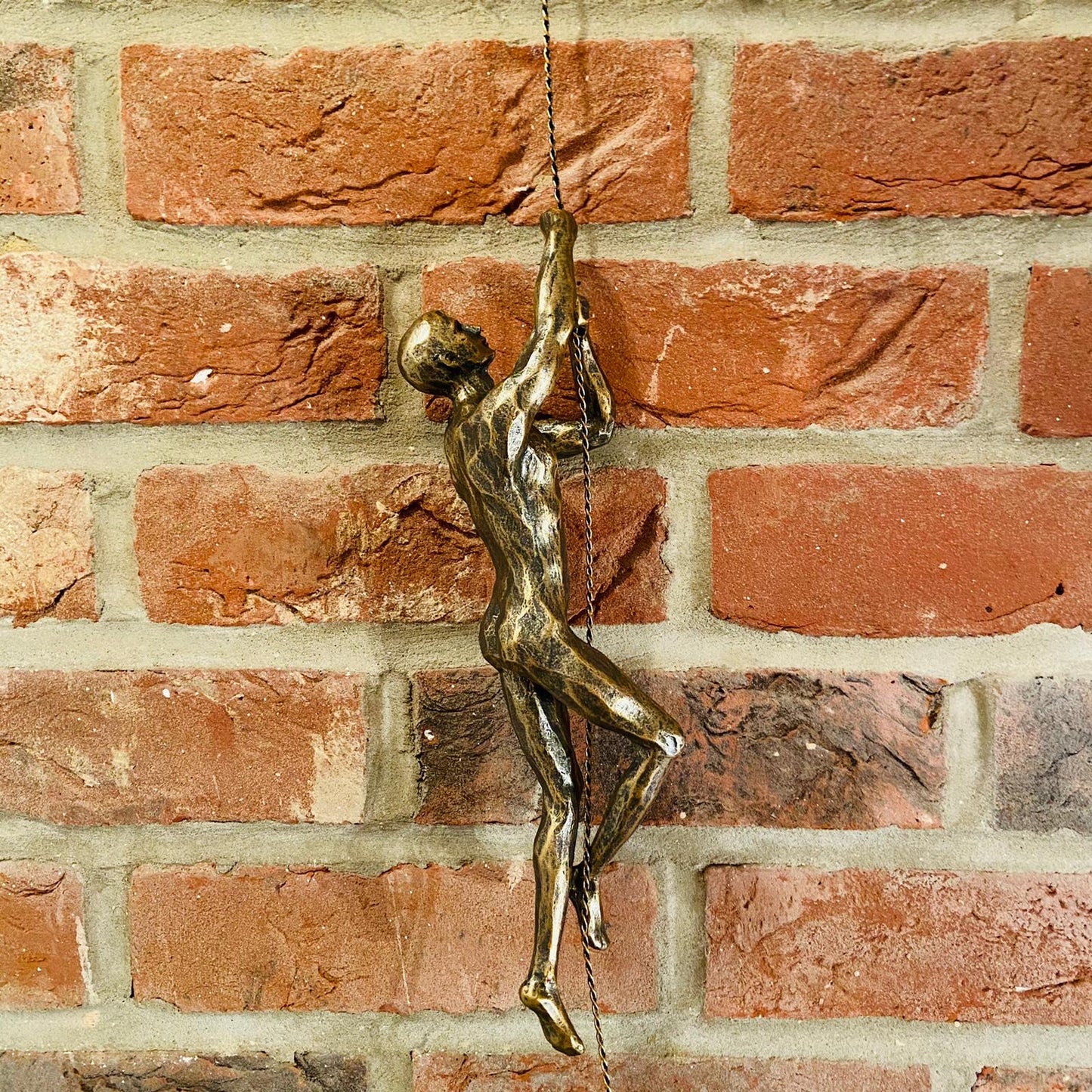 Hanging Rope Wall Men-ad&i