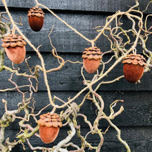 Load image into Gallery viewer, Acorn Decorative Garland - ad&amp;i