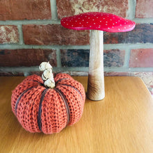 Load image into Gallery viewer, Decorative Wool Pumpkin-ad&amp;i