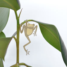 Load image into Gallery viewer, Plant Animal Tree Frog - ad&amp;i