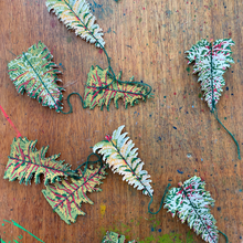 Load image into Gallery viewer, Pack of Four Forest Tree Paper Decorations-ad&amp;i